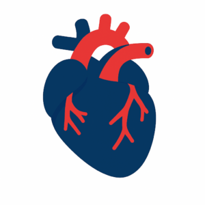 Cardiology Heart